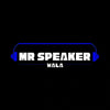 MR SPEAKER WALA 